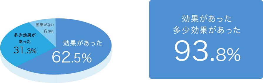 効果があった・多少効果があった93.8%