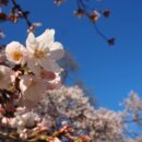 2026年新卒入社式